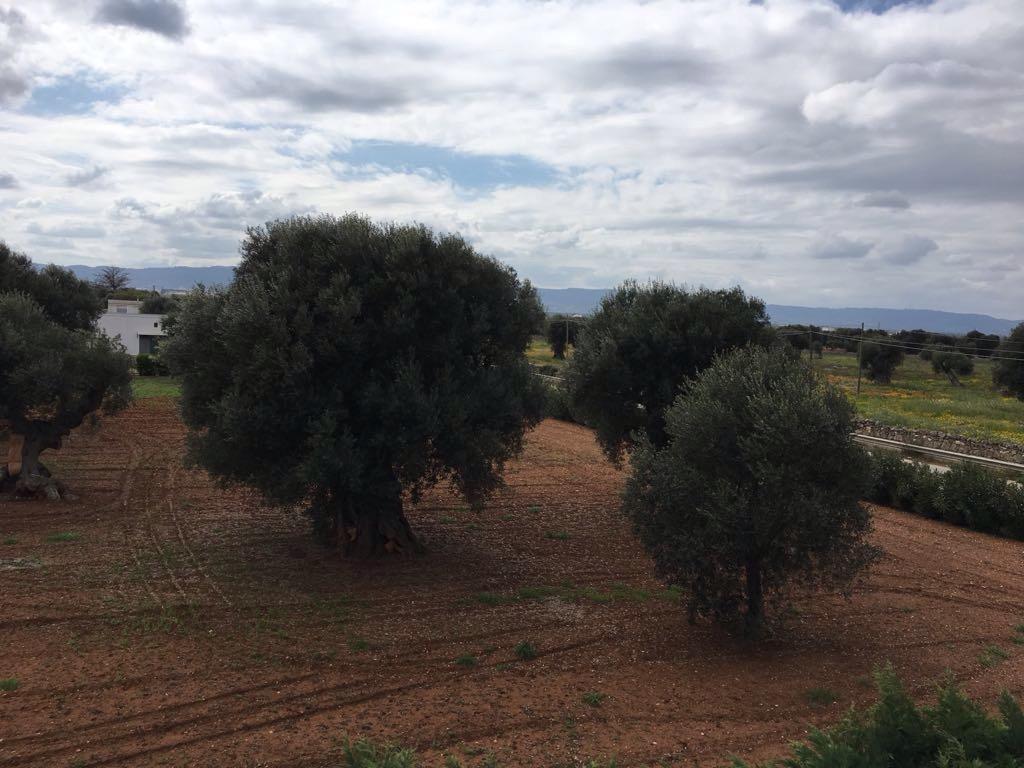 Villa Anna Savelletri Εξωτερικό φωτογραφία